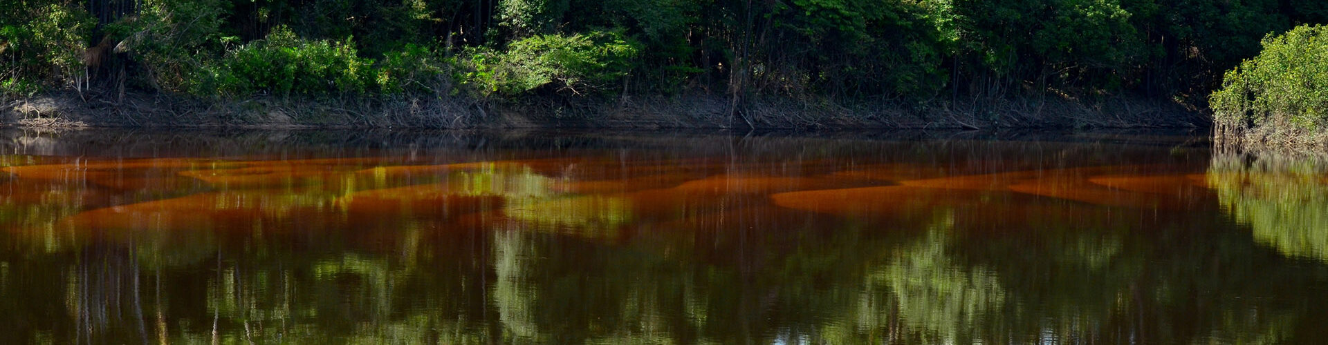 Reducing emissions from deforestation and Forest Degradation